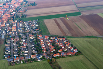 Ortsteil Hayna in Herxheim bei Landau im Bundesland Rheinland-Pfalz, Deutschland aus der Drohnenperspektive