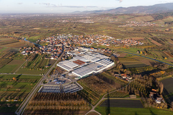 Luftbild von Firmengelände der Progress-Werk Oberkirch AG mit Hallen, Firmengebäuden und Produktionsstätten in Stadelhofen im Bundesland Baden-Württemberg, Deutschland