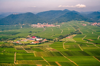 Winzerdorf unter der Madenburg von Westen in Eschbach im Bundesland Rheinland-Pfalz, Deutschland