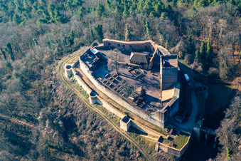 Luftbild von Ruine und Mauerreste der ehemaligen Burganlage Burg Landeck in Klingenmünster im Bundesland Rheinland-Pfalz, Deutschland