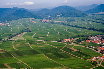Winzerorte am Haardtrand von Osten in Ilbesheim bei Landau im Bundesland Rheinland-Pfalz, Deutschland