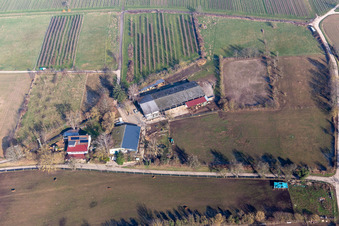 Reitclub in Oberotterbach im Bundesland Rheinland-Pfalz, Deutschland