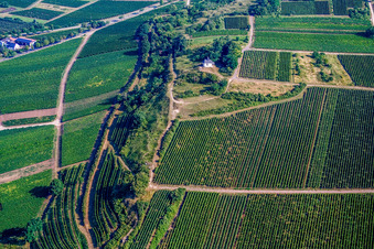 Naturschutzgebiet und Kapelle Kleine Kalmit in Ilbesheim bei Landau im Bundesland Rheinland-Pfalz, Deutschland