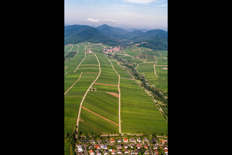 Birnbachtal von Osten in Leinsweiler im Bundesland Rheinland-Pfalz, Deutschland