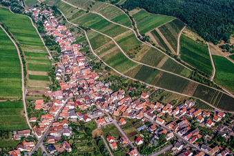 Luftbild von Winzerort am Haardtrand von Osten in Ranschbach im Bundesland Rheinland-Pfalz, Deutschland