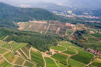 Weinlage Keschdebusch (Kastanienbusch) in Birkweiler im Bundesland Rheinland-Pfalz, Deutschland