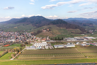 Ortenberg im Bundesland Baden-Württemberg, Deutschland