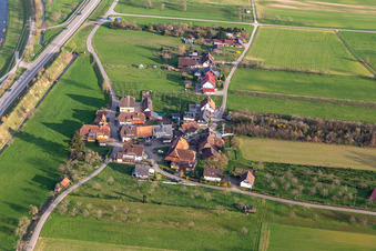 Prinzbacher Straße in Steinach im Bundesland Baden-Württemberg, Deutschland
