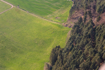 Frühlingsliebe bei Biberach im Kinzigtal im Schwarzwald im Bundesland Baden-Württemberg, Deutschland