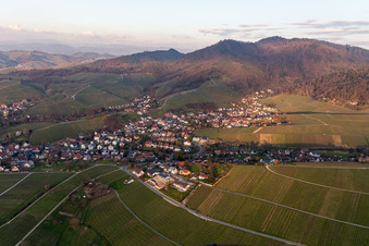 Luftbild von Dorf - Ansicht am Rande von Weinbergen und Winzer- Gütern in Fessenbach im Ortsteil Zell in Offenburg im Bundesland Baden-Württemberg, Deutschland