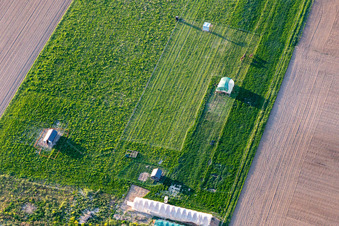 Luftbild von Steinweiler im Bundesland Rheinland-Pfalz, Deutschland