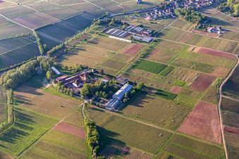 JKI, Rebforschungsanstalt in Siebeldingen im Bundesland Rheinland-Pfalz, Deutschland