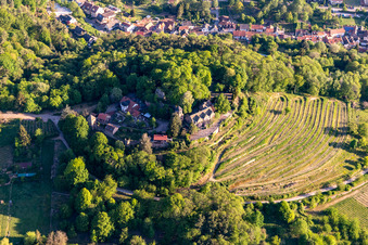 Luftaufnahme von Schloß Kropsburg in Sankt Martin im Bundesland Rheinland-Pfalz, Deutschland