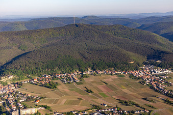 Zu Füßen des Weinbiet im Ortsteil Haardt in Neustadt an der Weinstraße im Bundesland Rheinland-Pfalz, Deutschland