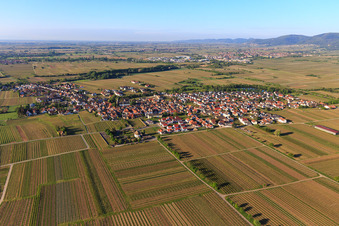 Ortsansicht aus Norden in Kirrweiler im Bundesland Rheinland-Pfalz, Deutschland