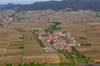 Dorf - Ansicht am Rande von landwirtschaftlichen Feldern und Nutzflächen in Roschbach im Bundesland Rheinland-Pfalz, Deutschland