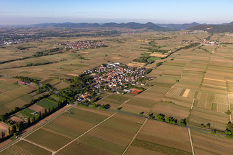 Schrägluftbild von Walsheim im Bundesland Rheinland-Pfalz, Deutschland
