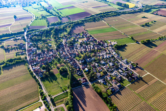 Knöringen im Bundesland Rheinland-Pfalz, Deutschland