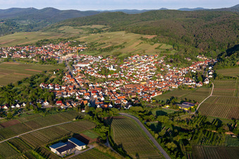 Luftaufnahme von Dorf - Ansicht am Rande von Weinbergen und Wald in Rechtenbach in Schweigen-Rechtenbach im Bundesland Rheinland-Pfalz, Deutschland