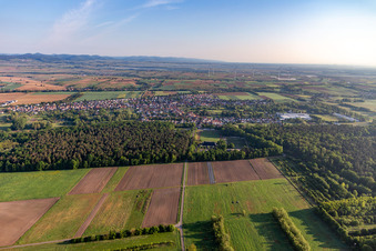 Drohnenbild von Ortsteil Schaidt in Wörth am Rhein im Bundesland Rheinland-Pfalz, Deutschland