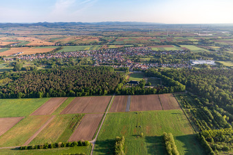 Ortsteil Schaidt in Wörth am Rhein im Bundesland Rheinland-Pfalz, Deutschland aus der Drohnenperspektive