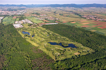 Gelände des Golfplatz Landgut Dreihof im Morgendunst in Essingen im Bundesland Rheinland-Pfalz, Deutschland