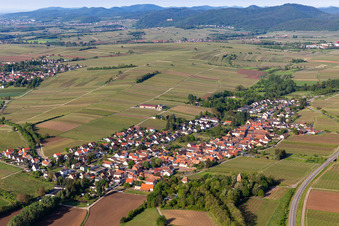 Ortsteil Wollmesheim in Landau in der Pfalz im Bundesland Rheinland-Pfalz, Deutschland aus der Luft