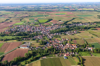 Ortsteil Appenhofen in Billigheim-Ingenheim im Bundesland Rheinland-Pfalz, Deutschland aus der Drohnenperspektive