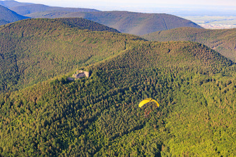 Gleitschirm vor Burg Neuscharfeneck in Flemlingen im Bundesland Rheinland-Pfalz, Deutschland