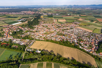 Luftbild von Dorf - Ansicht am Rande von landwirtschaftlichen Feldern und Nutzflächen in Hördt im Bundesland Rheinland-Pfalz, Deutschland
