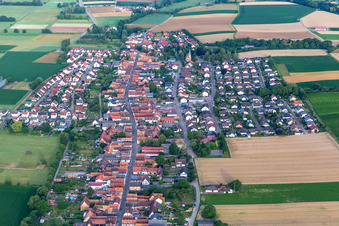 Freckenfeld im Bundesland Rheinland-Pfalz, Deutschland von oben