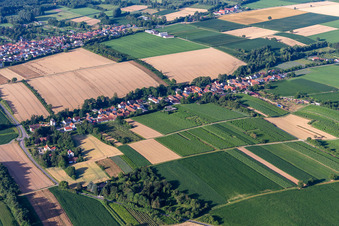 Vollmersweiler im Bundesland Rheinland-Pfalz, Deutschland