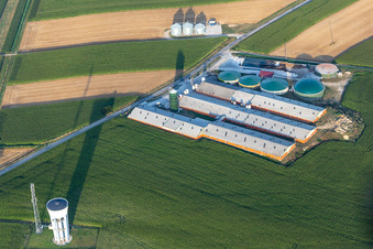 Schrägluftbild von Wintzenbach im Bundesland Bas-Rhin, Frankreich