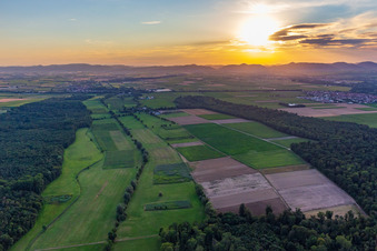 Flutgraben in Steinweiler im Bundesland Rheinland-Pfalz, Deutschland