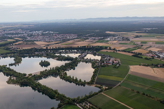 Silbersee, Biersiedersee, Binsfeld in Speyer im Bundesland Rheinland-Pfalz, Deutschland