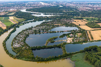 Seen und Uferbereiche mit Campingplatz und Wochenendhaussiedlung des Naherholungsgebiets Blaue Adria im Ortsteil Riedsiedlung in Altrip im Bundesland Rheinland-Pfalz, Deutschland aus der Luft