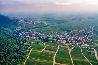 Winzerort am Haardtrand von Süden in Frankweiler im Bundesland Rheinland-Pfalz, Deutschland