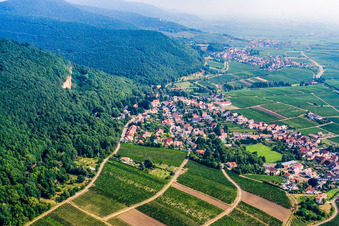 Luftaufnahme von Winzerort am Haardtrand von Süden in Frankweiler im Bundesland Rheinland-Pfalz, Deutschland