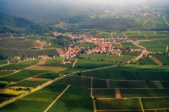 Winzerdorf von Süden in Burrweiler im Bundesland Rheinland-Pfalz, Deutschland