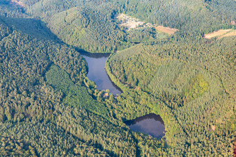 Seehofweiher in Erlenbach bei Dahn im Bundesland Rheinland-Pfalz, Deutschland