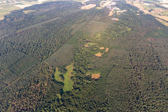 Bienwald, Lautertal in Schweighofen im Bundesland Rheinland-Pfalz, Deutschland