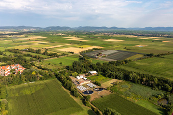 Lindenhof Gensheimer in Steinweiler im Bundesland Rheinland-Pfalz, Deutschland