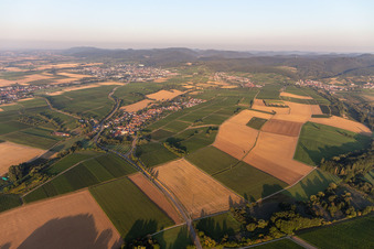 Niederhorbach im Bundesland Rheinland-Pfalz, Deutschland von oben