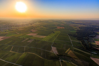 Sonnenaufgang überm Horbachtal in Barbelroth im Bundesland Rheinland-Pfalz, Deutschland