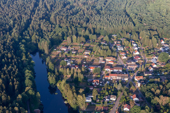 Am Sägmühlweiher von Osten in Ludwigswinkel im Bundesland Rheinland-Pfalz, Deutschland