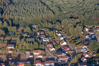 Am Sägmühlweiher und Bitscher Straße von Osten in Ludwigswinkel im Bundesland Rheinland-Pfalz, Deutschland