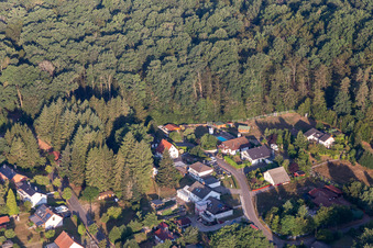 Felsenweg in Ludwigswinkel im Bundesland Rheinland-Pfalz, Deutschland