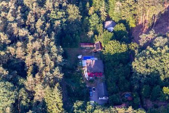 Am Saufelsen in Ludwigswinkel im Bundesland Rheinland-Pfalz, Deutschland