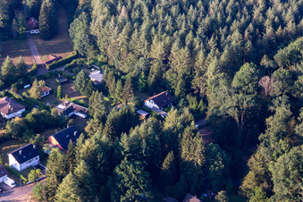 Am Sägmühlweiher von Norden in Ludwigswinkel im Bundesland Rheinland-Pfalz, Deutschland