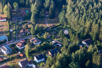 Luftbild von Am Sägmühlweiher von Norden in Ludwigswinkel im Bundesland Rheinland-Pfalz, Deutschland